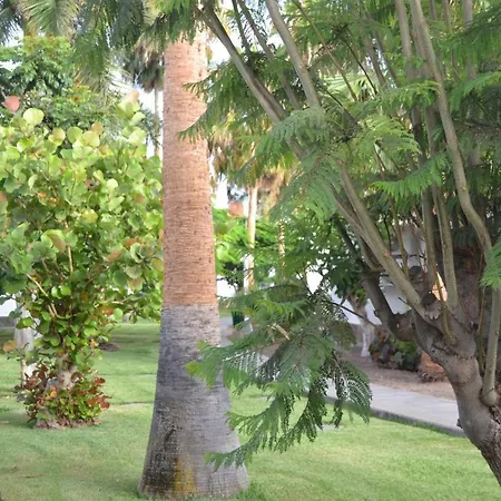 Daire Experience House *