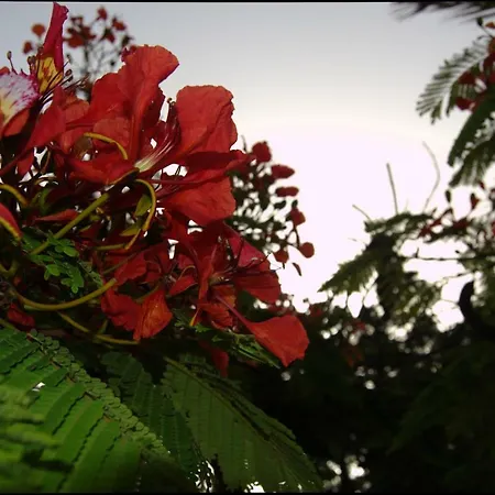 Apartment Experience House *